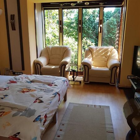 Casa Negoiu Apartment เตอร์กู-มูเรช ภายนอก รูปภาพ