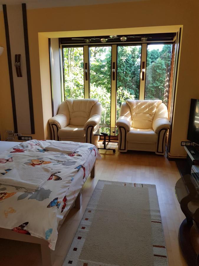 Casa Negoiu Apartment เตอร์กู-มูเรช ภายนอก รูปภาพ